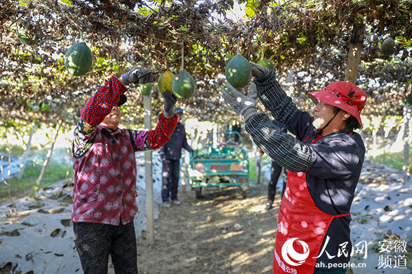 马鞍山战贫记：产业兴人心齐